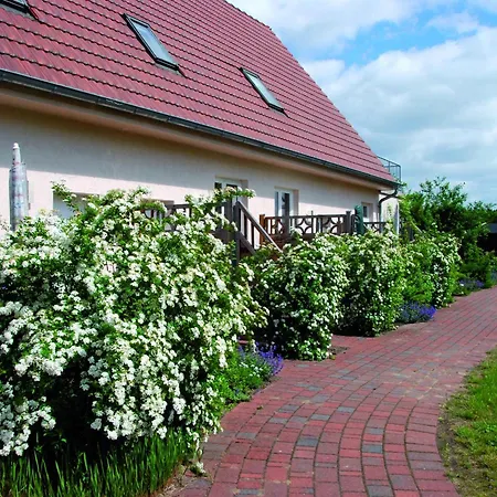 Dom wakacyjny Reihenhaus Mit Wlan In Am Mueritzsee *