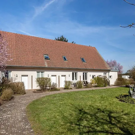 Reihenhaus Mit Wlan In Buchholz Am Mueritzsee Holiday home Buchholz (Mecklenburg-Vorpommern)